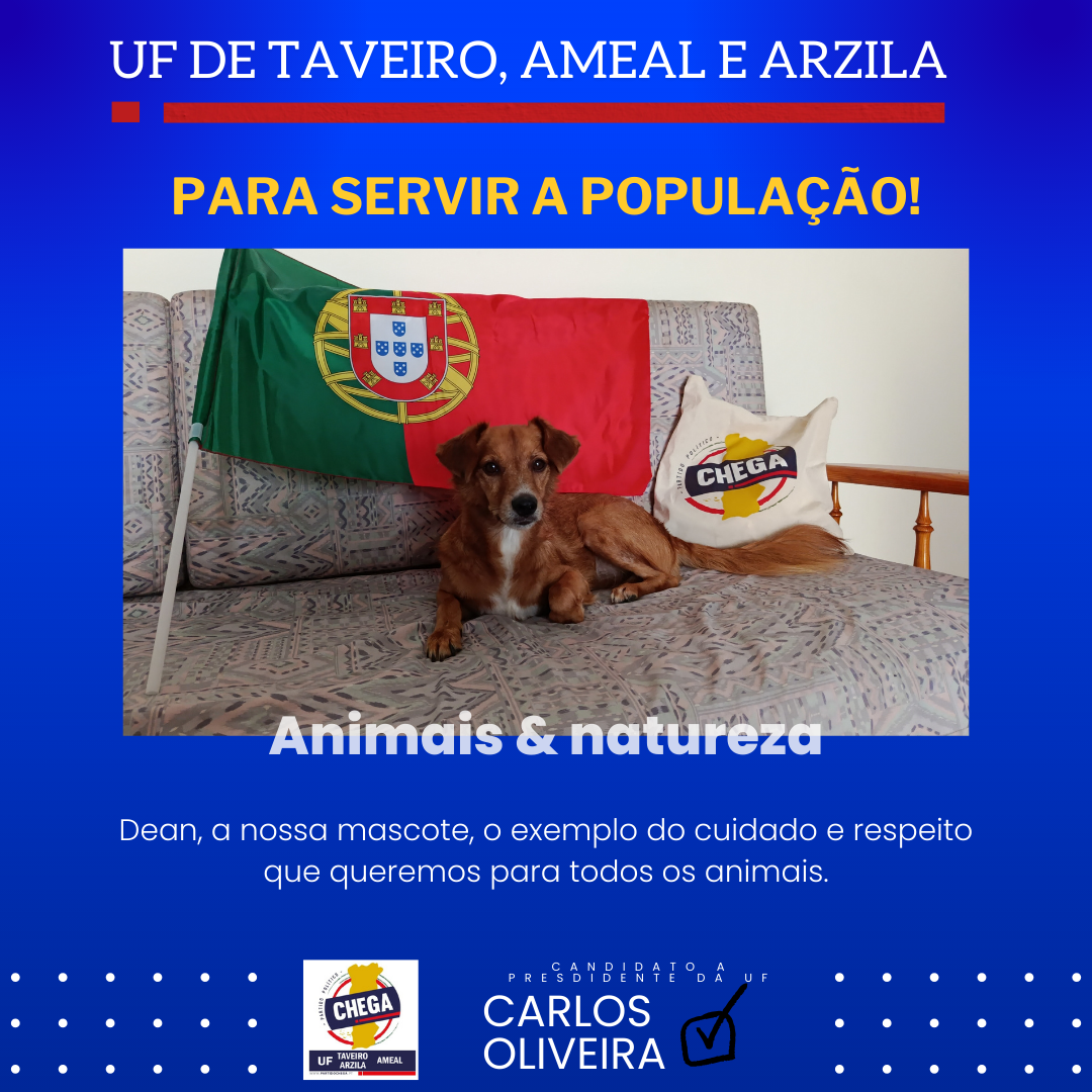 A nossa mascote Dean — exemplo de adoção responsável