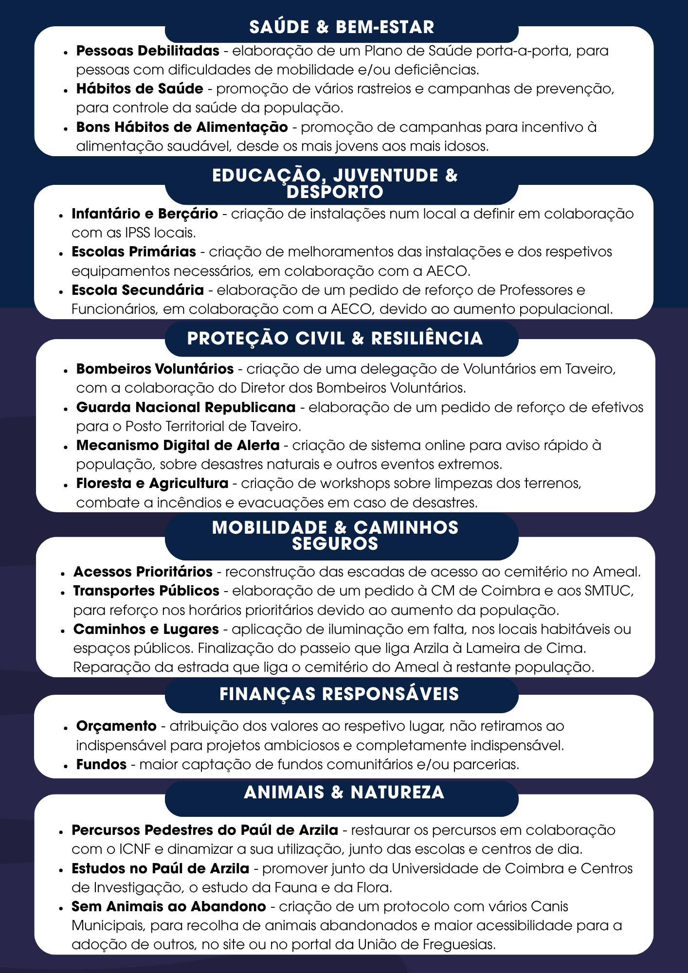 Flyer 3