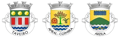 Brasões de Taveiro, Ameal e Arzila